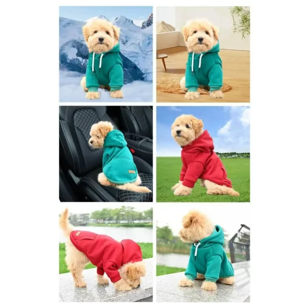 City-style hoodie for dogs