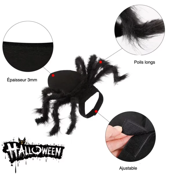 Spider-shaped Halloween costume for dogs