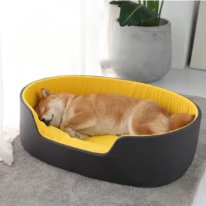 3D dog kennel