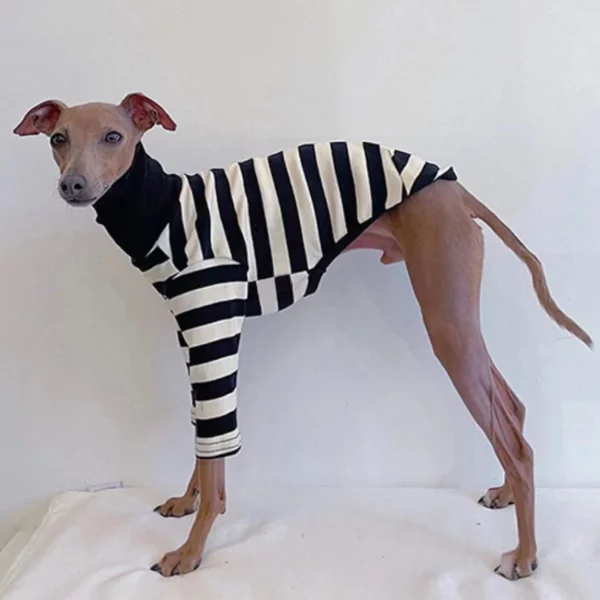 Striped dog sweater