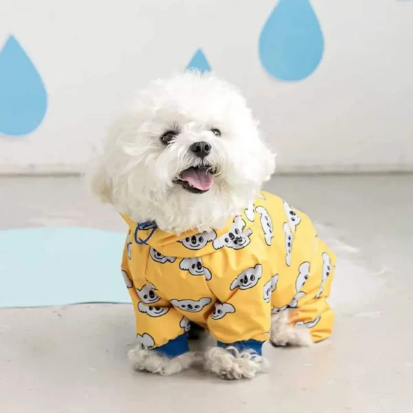 Patterned rainwear for dogs