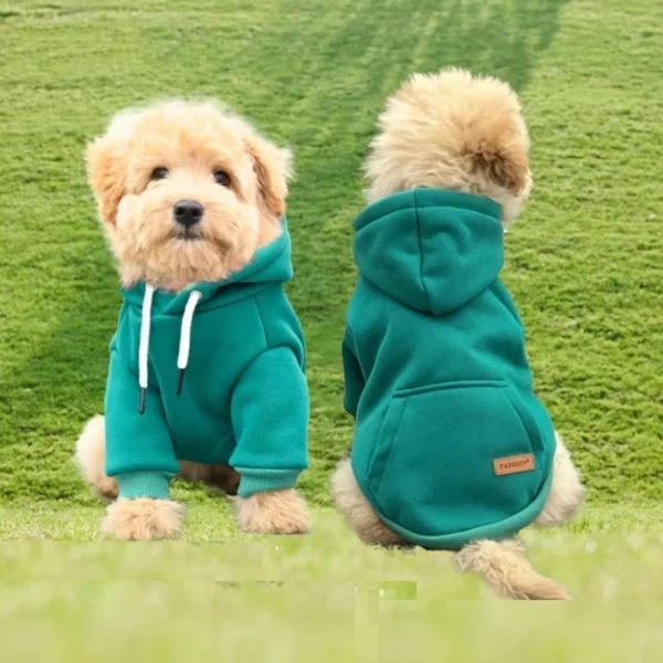 City-style hoodie for dogs