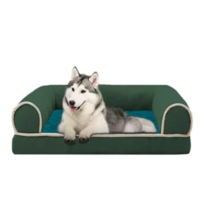 Green sofa style dog bed