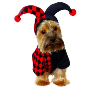 Red and black acrobat Halloween costume for dogs