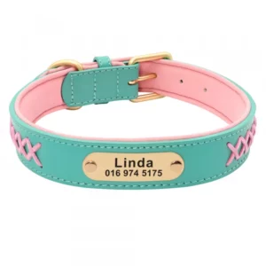 Personalized dog collar in engraved imitation leather