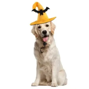 Halloween costume for dogs with witch hat