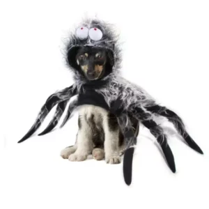 Halloween costume for spider dog