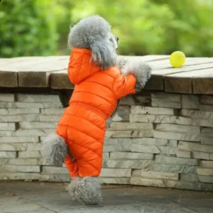 Hooded dog down jacket