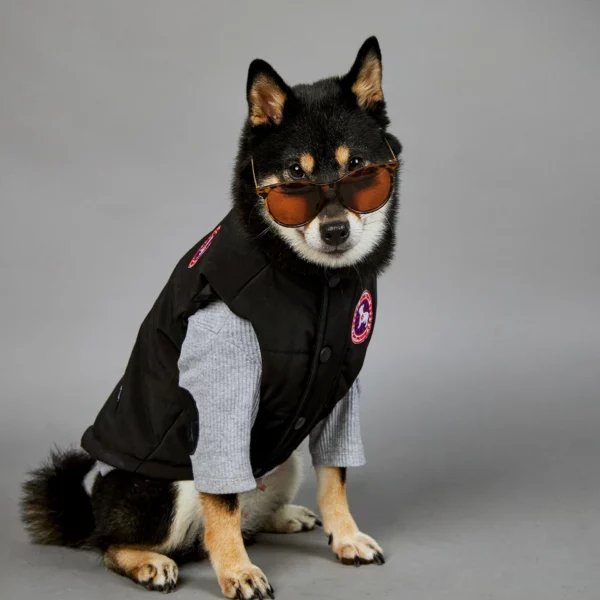 Polyester down dog jacket