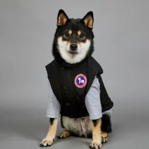 Polyester down dog jacket