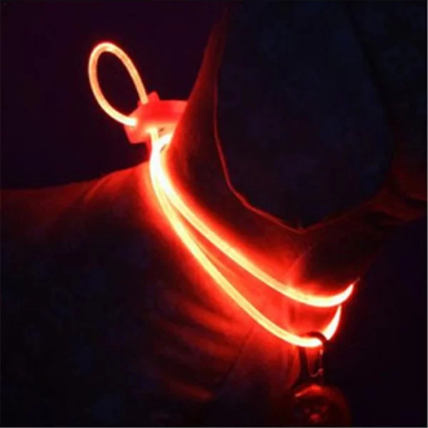 Fashionable LED dog collar