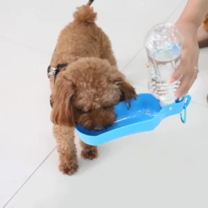 Dog bottle 280 ml colorful