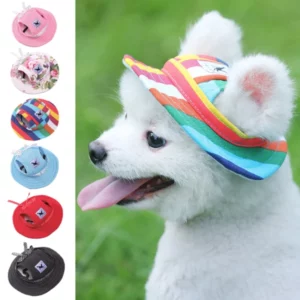 Colorful and adjustable dog cap