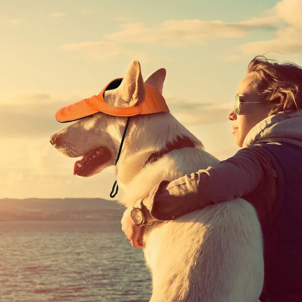 Colorful dog cap