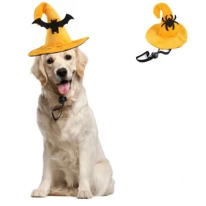 Halloween costume yellow hat with bat for dog