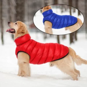 Reversible blue and red dog down jacket