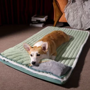 Green and soft dog bed with integrated cushion