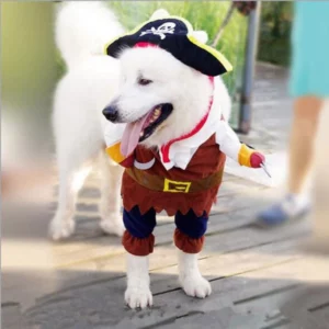 Pirate dog costume