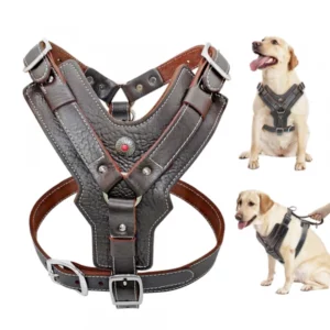 Harnesses for large dogs