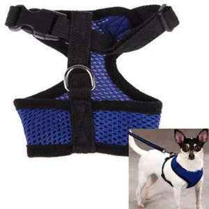 Harness with flexible leash for dogs