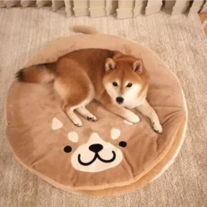 Dog bed with blanket