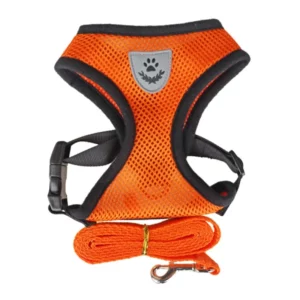 Orange harness and nylon leash for dogs