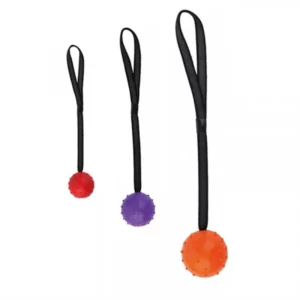 Rubber ball with rope for dogs