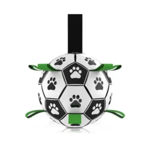 Dog soccer ball