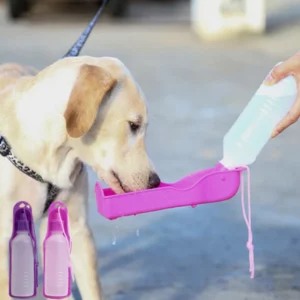 Collapsible and portable water bottle for dogs