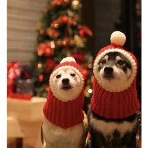 Christmas hat for dogs