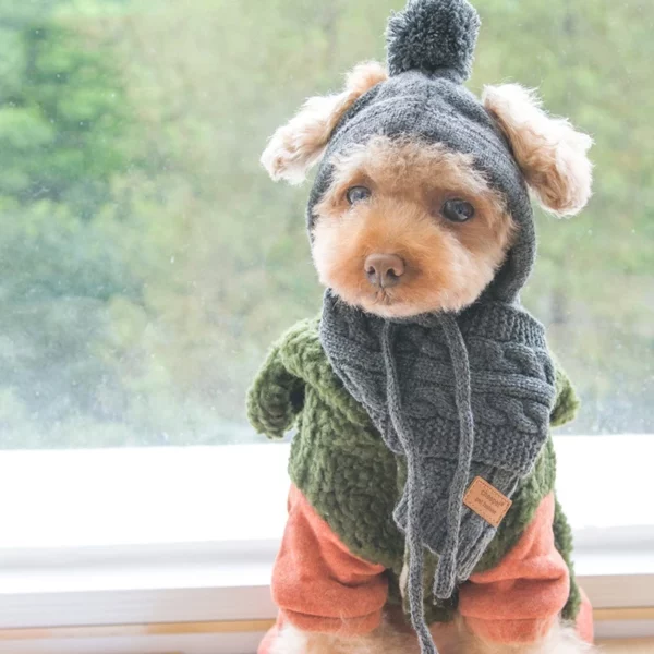 Luxury Knitted Pet Hats