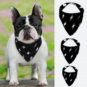 Bandana collar for dogs