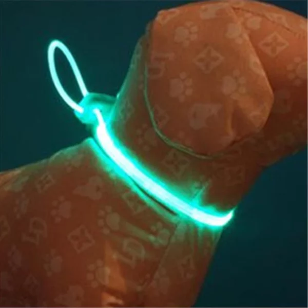 Fashionable LED dog collar