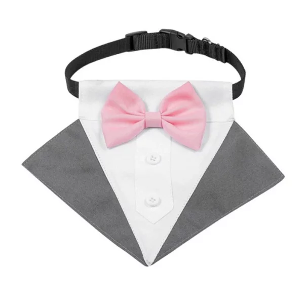 Collar with a wedding suit for a dog