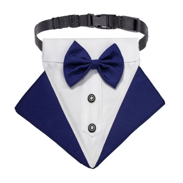 Collar with a wedding suit for a dog