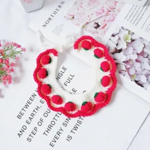 Crocheted strawberry dog ​​collar