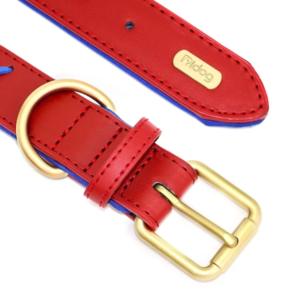 Personalized dog collar in engraved imitation leather