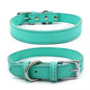 Colorful leather dog collar