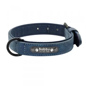 Personalized leather dog collar