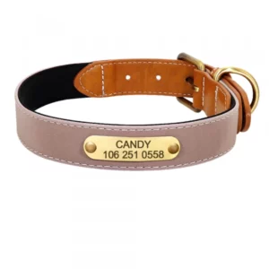 Personalized faux leather dog collar