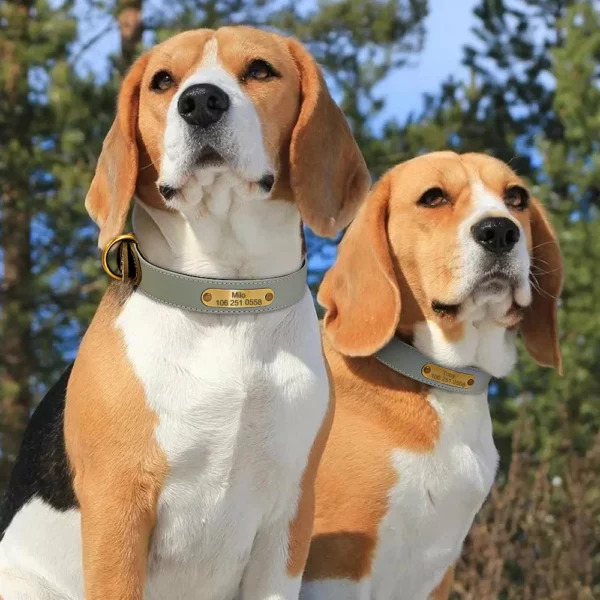 Personalized faux leather dog collar