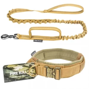 Dog collar and leash