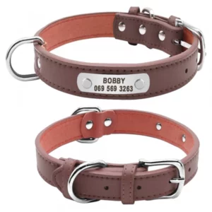 Personalized leather dog collar