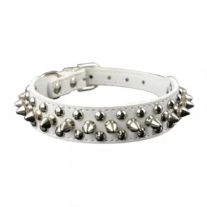 Studded Round Spike Collars for Dogs