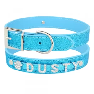 Personalized dog collars