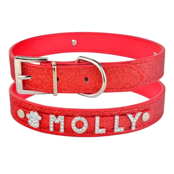 Personalized dog collars