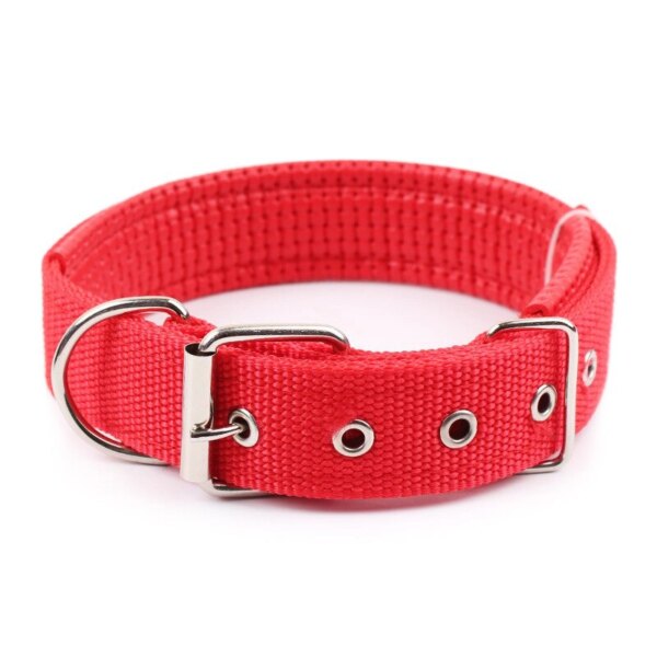 Strong nylon dog collars