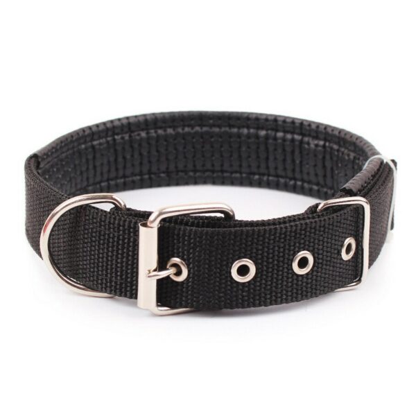 Strong nylon dog collars