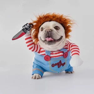 Clown costume for dog