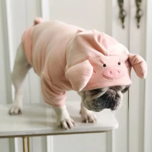 Pig-shaped costume for dogs